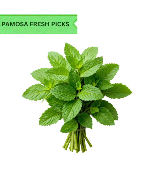 Pudina